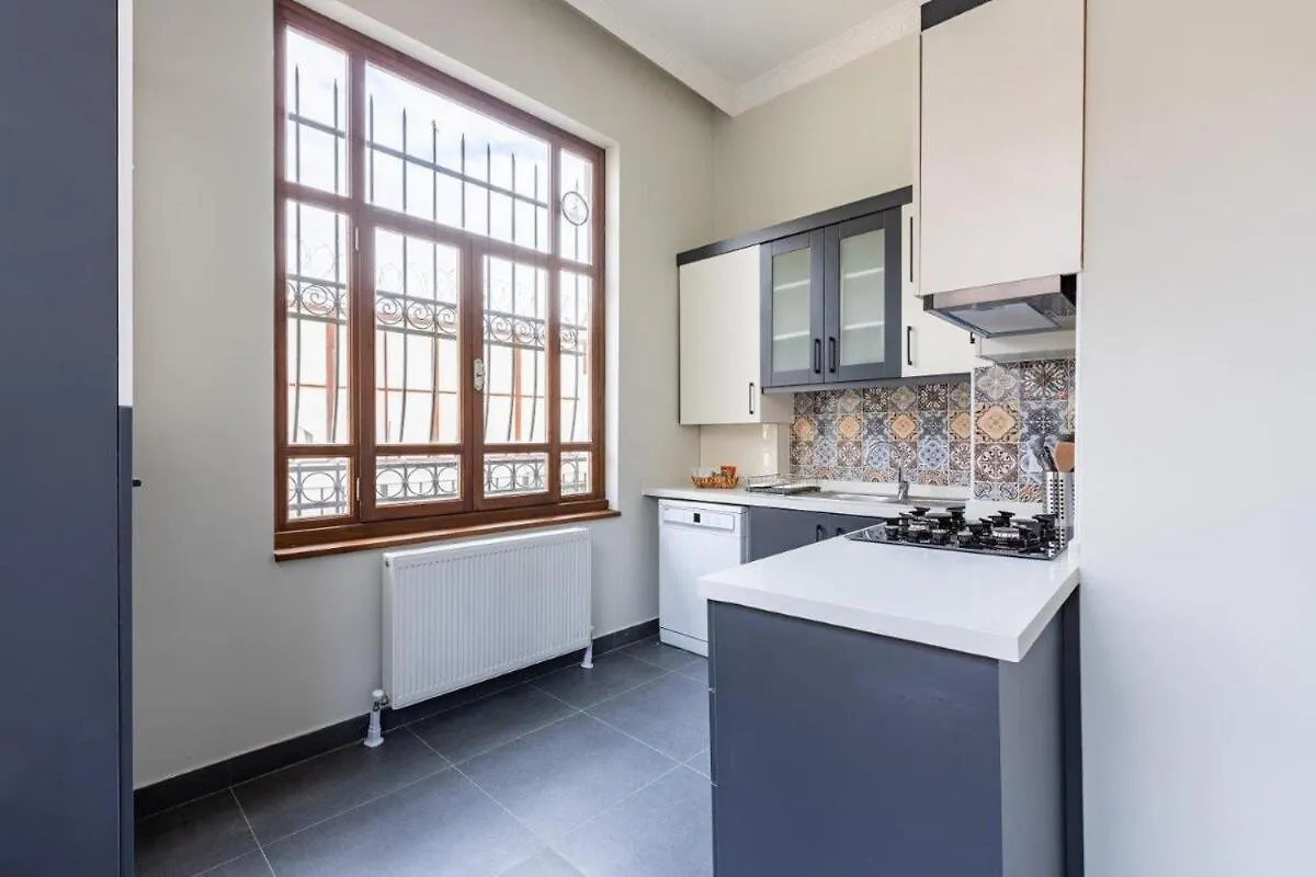 Bright Beautiful New Galata Port Balcony Gem! #260 Apartment Istanbul 0*,  Turkey